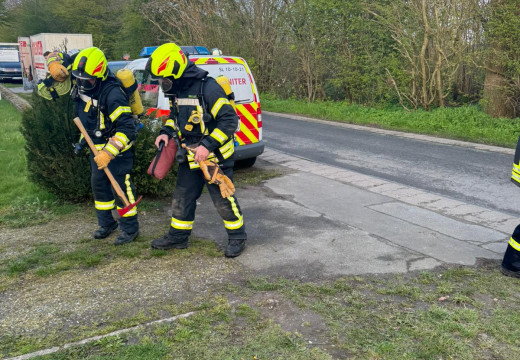 Übungsdienst, Gast: FF Rügge – Bild 5