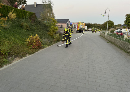 Übungsdienst Flächenbrand – Bild 8