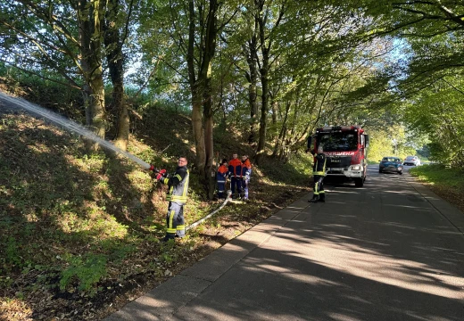 Arbeitsdienst & Hydranten-Spülen – Bild 28