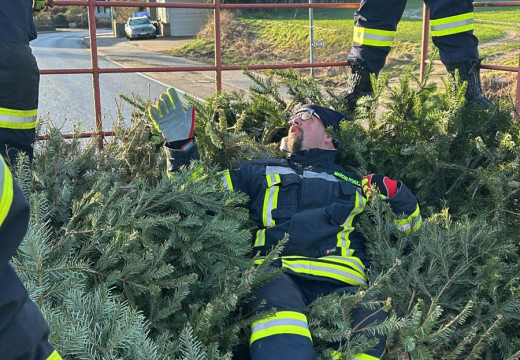 Tannenbaum-Einsammeln – Bild 4