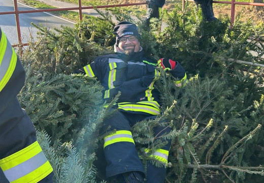 Tannenbaum-Einsammeln – Bild 5