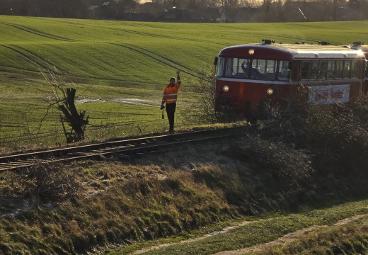 Tannenbaum-Einsammeln – Bild 9