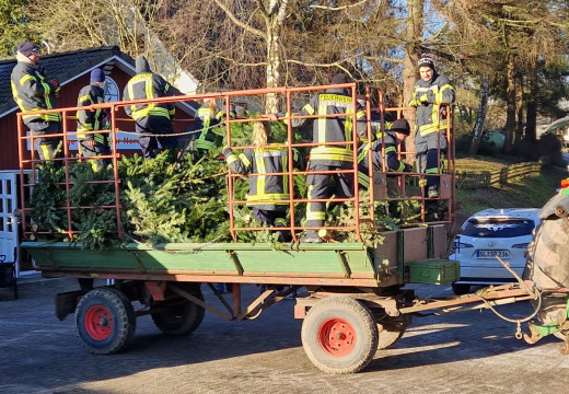 Tannenbaum-Einsammeln – Bild 13