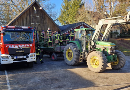 Tannenbaum-Einsammeln – Bild 14