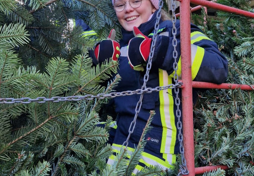 Tannenbaum-Einsammeln – Bild 17