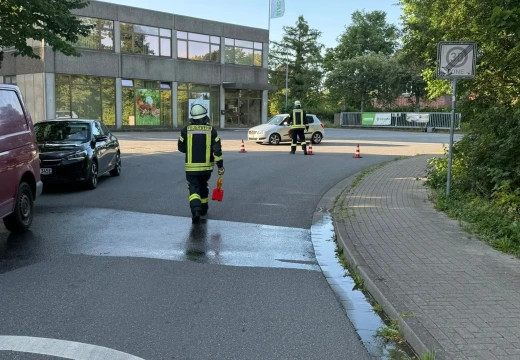 Gemeinsame Übung mit der FF Süderbrarup – Bild 21