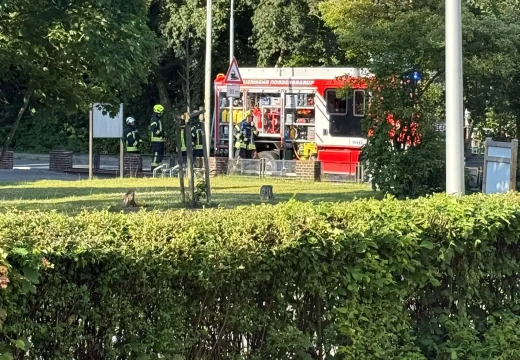 Gemeinsame Übung mit der FF Süderbrarup – Bild 36