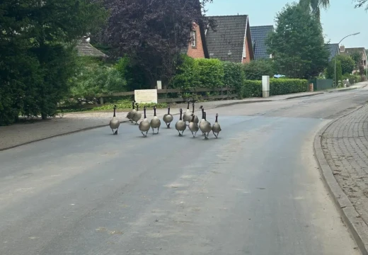 Funkrallye 2025 – Bild 16