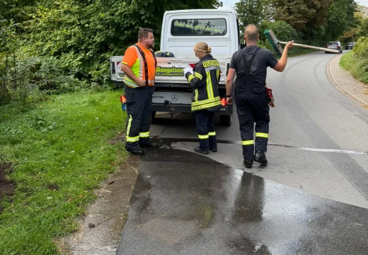 Arbeitsdienst – Bild 12