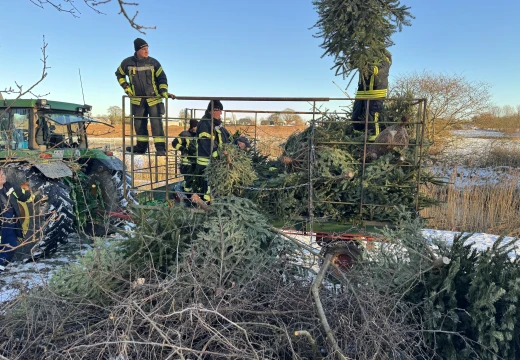 Tannenbaumaktion – Bild 6