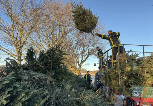 Tannenbaumaktion – Bild 8