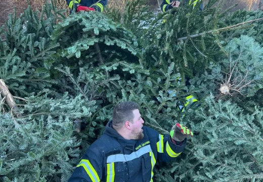 Tannenbaumaktion – Bild 15