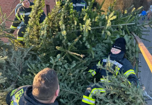 Tannenbaumaktion – Bild 16