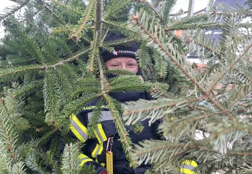 Tannenbaumaktion – Bild 24