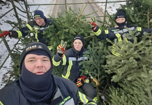 Tannenbaumaktion – Bild 25