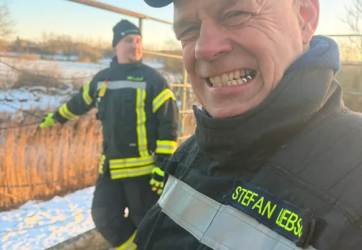 Tannenbaumaktion – Bild 40