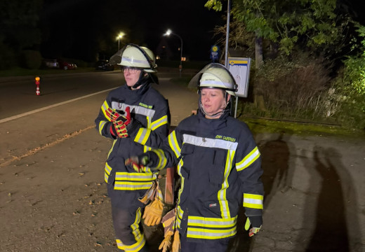 Übungsdienst, Gast: FF Rügge – Bild 46